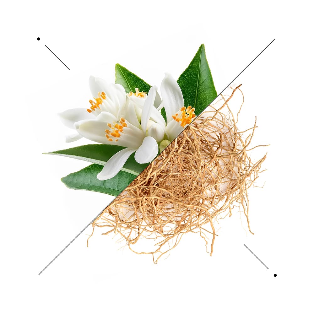 Shower gel w142 - Image 3