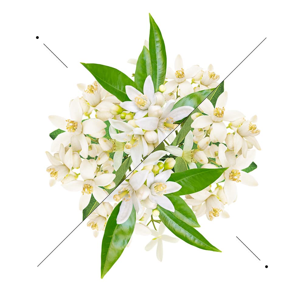 Perfume women w192 - Image 6