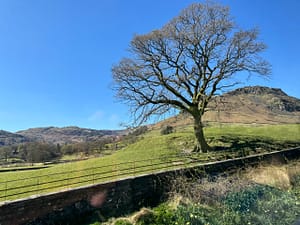 Eight Weeks in Kendal: My Personal Journey