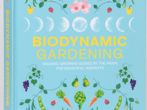 Biodynamic Gardening: Organic Growing Guided by the Moon for Bountiful Harvests
