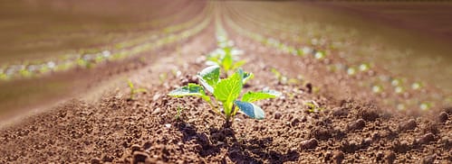 Our raw materials are sourced ethically and sustainably